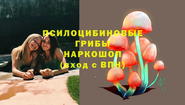 2c-b Карталы