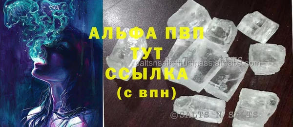 кокс Касимов