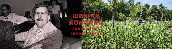 кокс Касимов