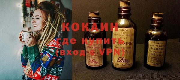 кокс Касимов