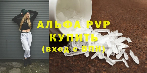 кокс Касимов