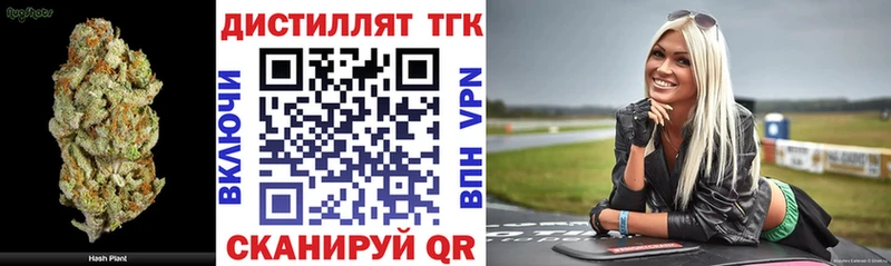 Купить  Егорьевск  Дистиллят ТГК THC oil 